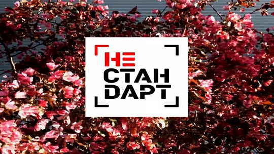 Нестандарт