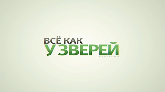 Все как у зверей