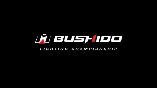 Турнир Bushido Fighting Championship Featherweight Grand Prix 2020 (MMA, кикбоксинг и бокс-профессионалы)