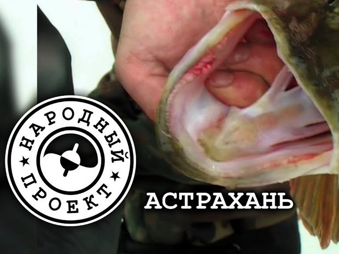 Народный проект. Астрахань (Предновогодняя рыбалка в дельте без снега и льда)
