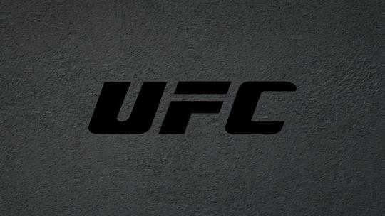 Смешанные единоборства. UFC 302. Ислам Махачев против Дастина Порье. Шон Стрикланд против Пауло Косты