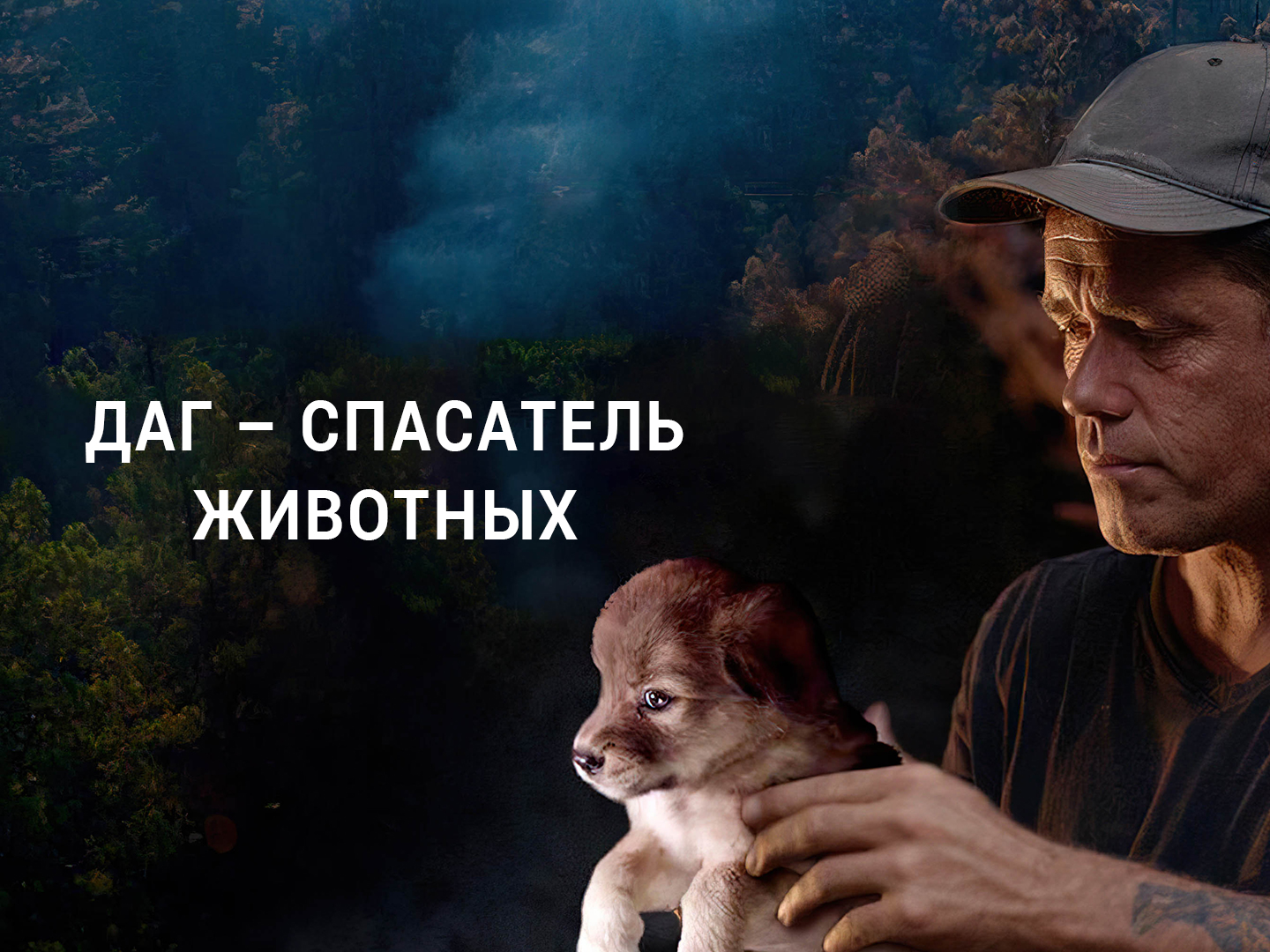 Том спасает животных. Animal Rescuer. Телепередача о животных 2024. Животные спасатели проект 3 класс.