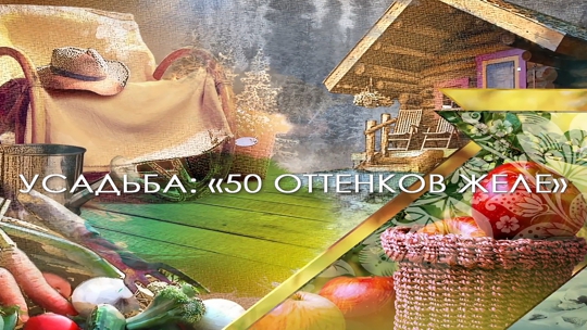 50 оттенков желе