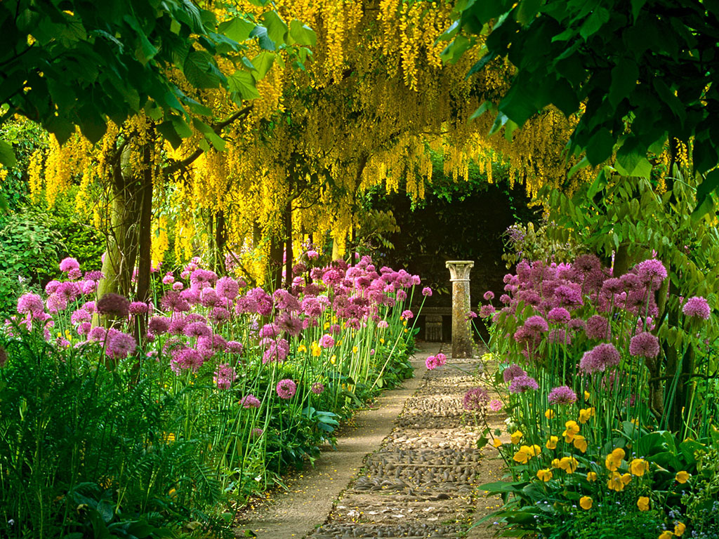 Любимый сад (Ноттингем)