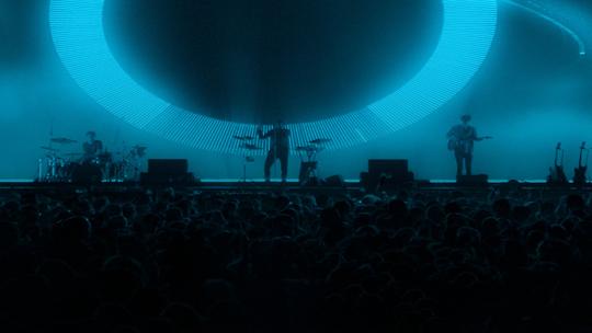 Дельфин "Прощай оружие"