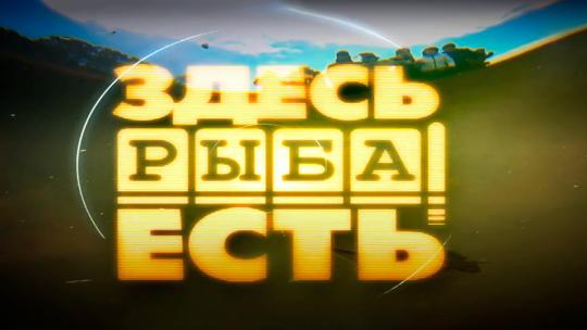 Здесь рыба есть