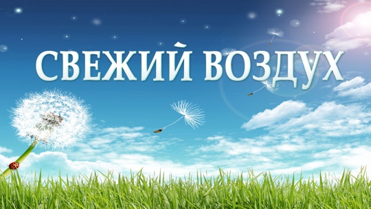 Свежий воздух