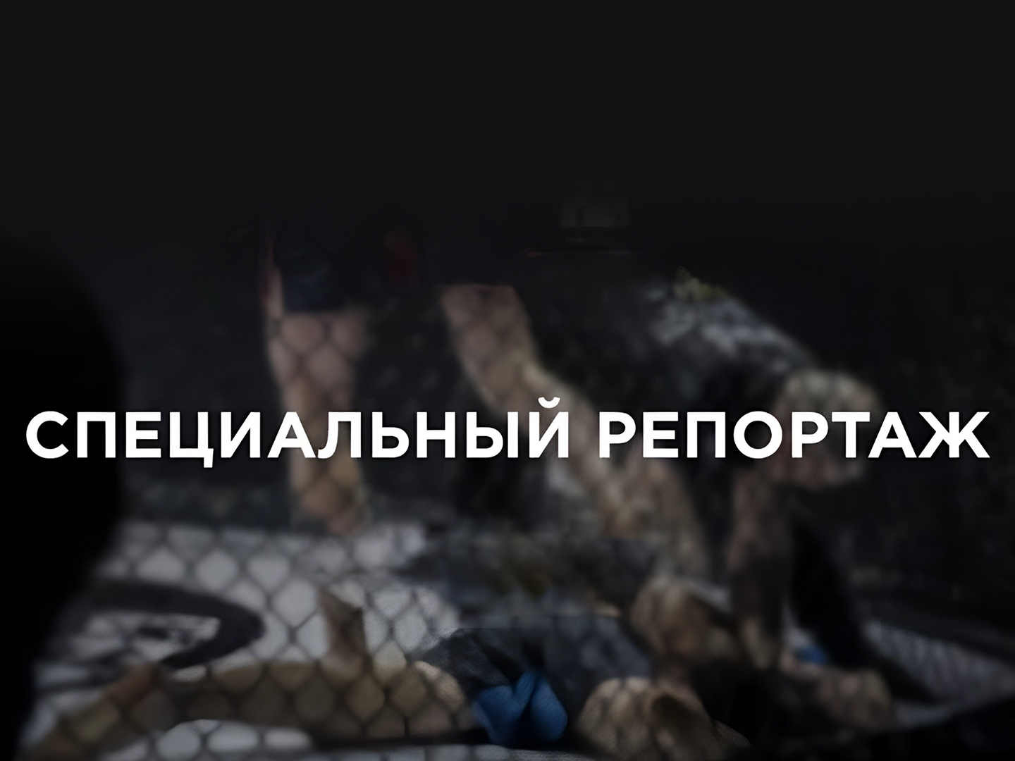 Специальный репортаж (Международный турнир по боксу "Кубок мэра", г. Ереван (Армения))