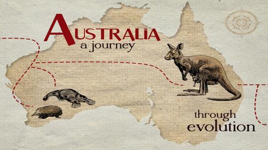 Австралия: путешествие сквозь эволюцию