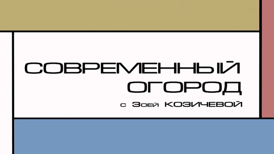 Современный огород